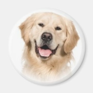 Golden Retriever Magnet