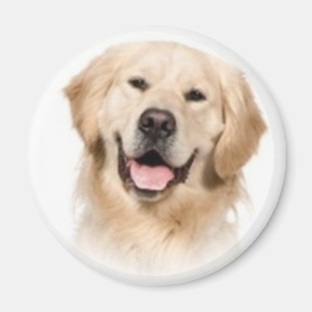 Golden Retriever Magnet (Front)