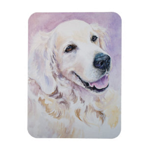 Golden retriever magnet