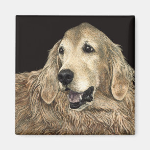 Golden Retriever Magnet - "Bear"