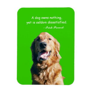 Golden Retriever Magnet with Irish Proverb
