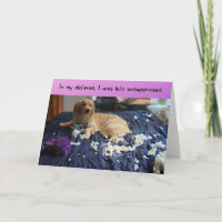 Golden Retriever Makes a Mess Funny Birthday