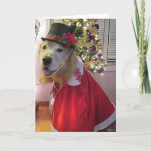 Golden Retriever Merry Bright Christmas Caroler Holiday Card