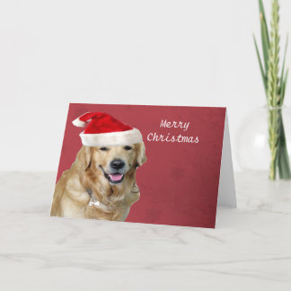 Golden Retriever Merry Christmas Holiday Card