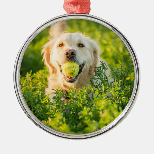 Golden Retriever Metal Tree Decoration (Front)