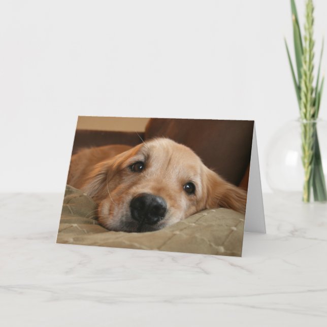 Golden Retriever Miss You Greeting Card (Front)