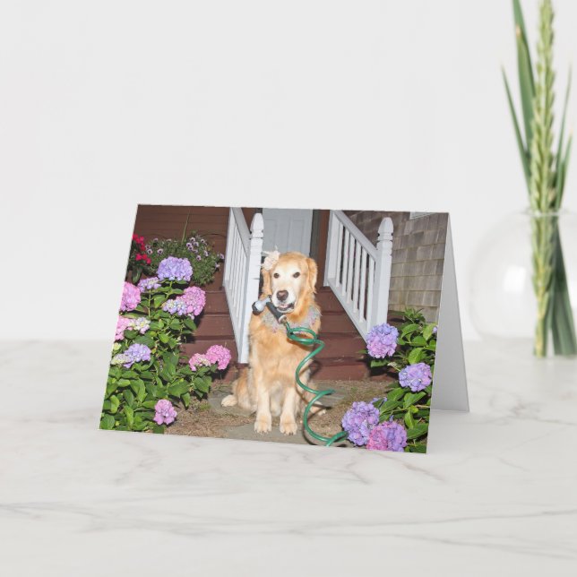 Golden Retriever Mother’s Day Garden  Holiday Card (Front)