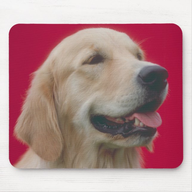 Golden Retriever Mouse Mat (Front)