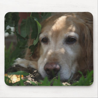 Golden Retriever Mouse Mat