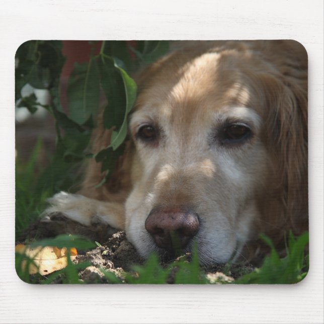 Golden Retriever Mouse Mat (Front)