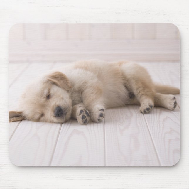 Golden Retriever Mouse Mat (Front)