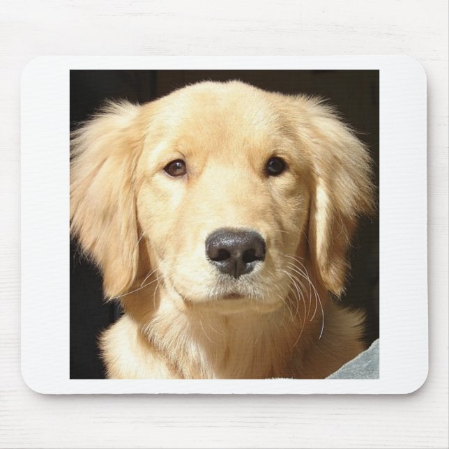 Golden Retriever Mouse Mat (Front)