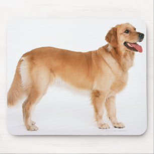 Golden Retriever Mouse Mat