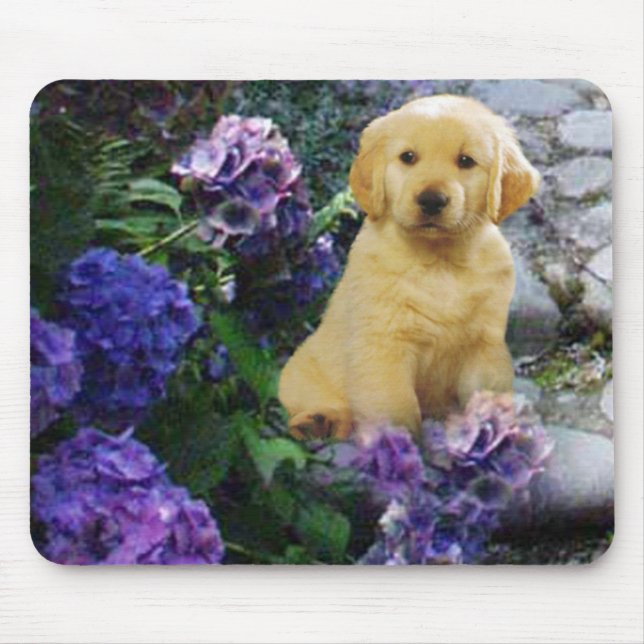 Golden Retriever Mousepad Hydrangea (Front)