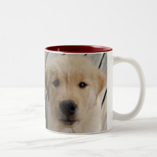 Golden retriever MUG pup