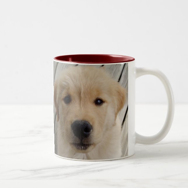 Golden retriever MUG pup (Right)
