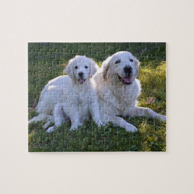 Golden Retriever Mum and Puppy Jigsaw Puzzle (Horizontal)
