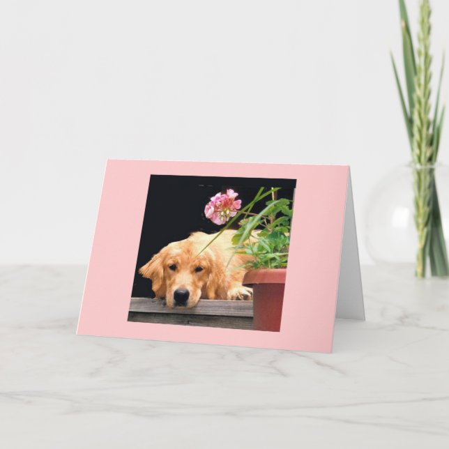 Golden Retriever My Heart Is Yours Card (Front)