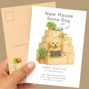 Golden Retriever New House Same Dog Moving  Postcard