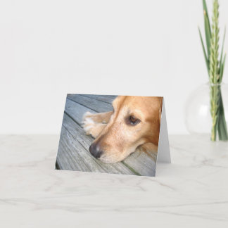 Golden Retriever Note Card