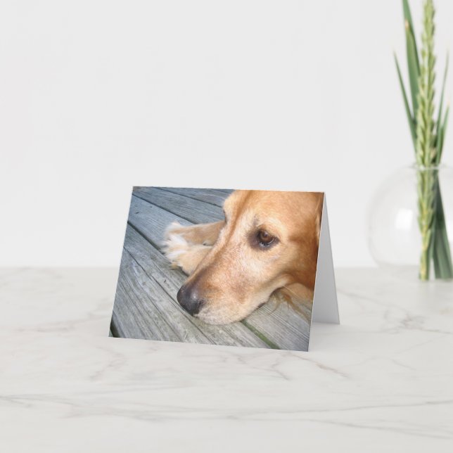 Golden Retriever Note Card (Front)