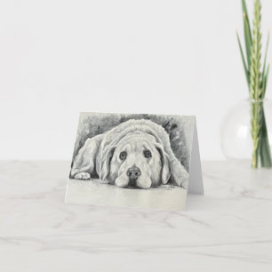 Golden Retriever Note Cards
