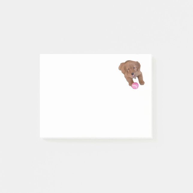 Golden Retriever Note Pad (Front)