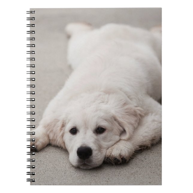 Golden Retriever Note Pad Notebook (Front)
