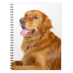 Golden Retriever Notebook