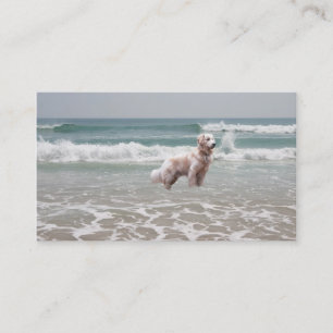 Golden Retriever On Beach Breeder Business Card