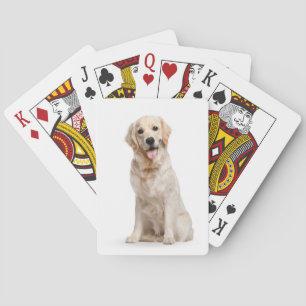 Golden Retriever On White Playing Cards