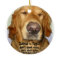 Golden Retriever Ornament