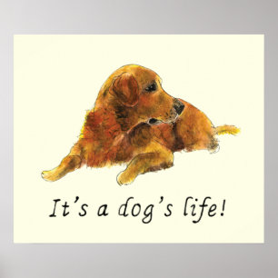 Golden Retriever Painting Funny Dog Slogan Humour Poster