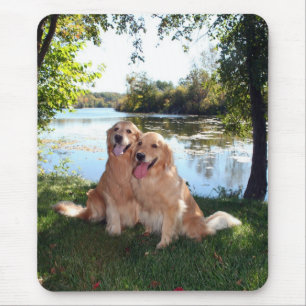 Golden Retriever Park and River Mousepad