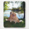 Golden Retriever Park and River Mousepad