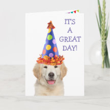 Golden Retriever Party Puppy Birthday