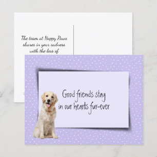 Golden Retriever Pet Loss From Veterinarian Postcard