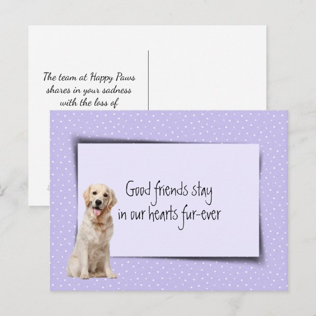 Golden Retriever Pet Loss From Veterinarian Postcard (Front/Back)