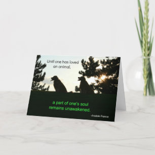 Golden Retriever Pet Sympathy Card