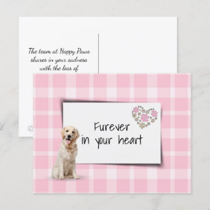 Golden Retriever Pet Sympathy Loss Postcard