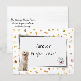 Golden Retriever Pet Sympathy Loss Postcard