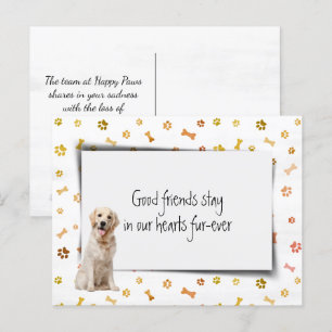 Golden Retriever Pet Sympathy Loss Postcard