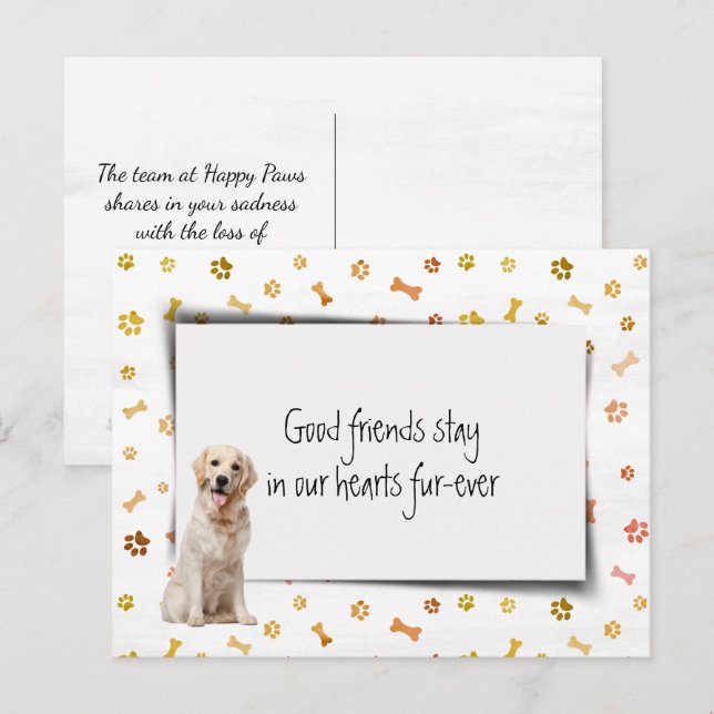 Golden Retriever Pet Sympathy Loss Postcard (Front/Back)