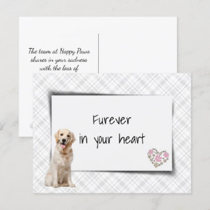 Golden Retriever Pet Sympathy Loss Postcard
