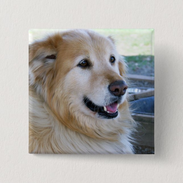 Golden Retriever Photo 15 Cm Square Badge (Front)
