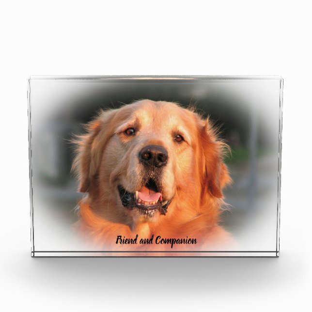Golden Retriever. Photo Block (Front)