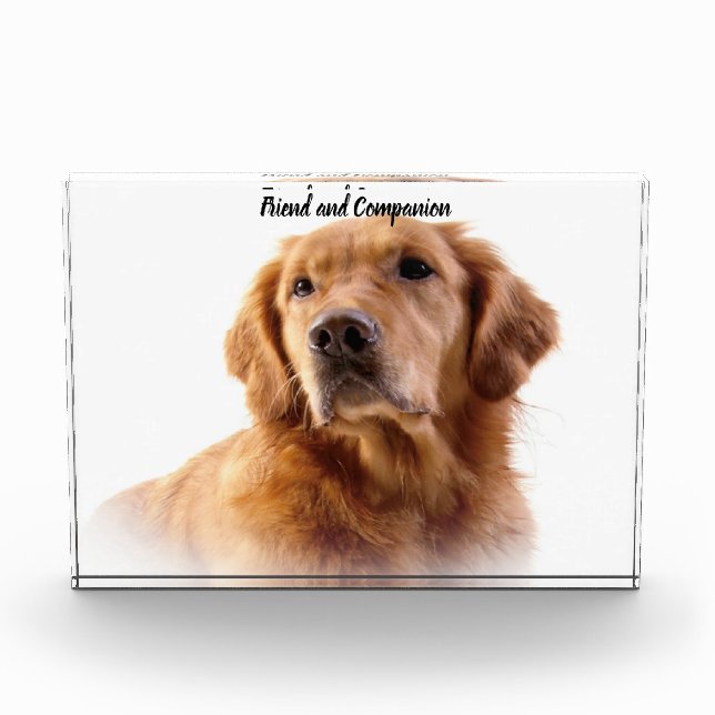 Golden Retriever. Photo Block (Front)
