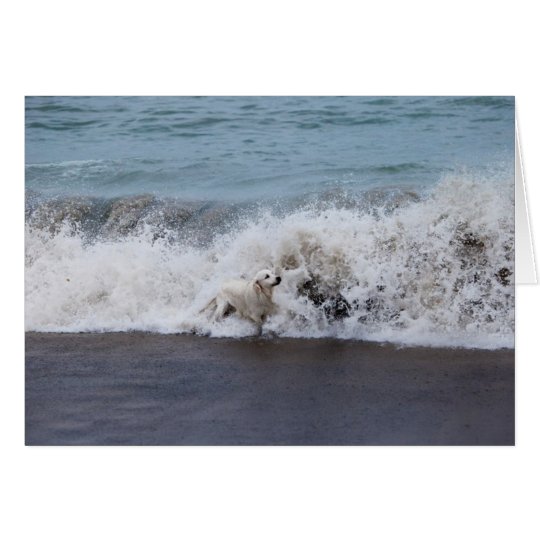 Golden Retriever Photo Card