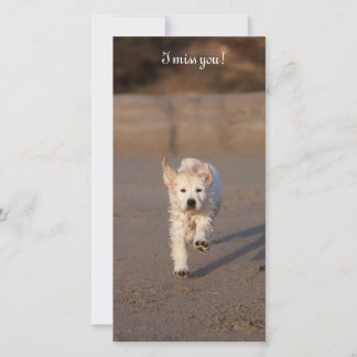 Golden Retriever Photo Card