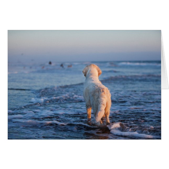 Golden Retriever Photo Card (Front Horizontal)